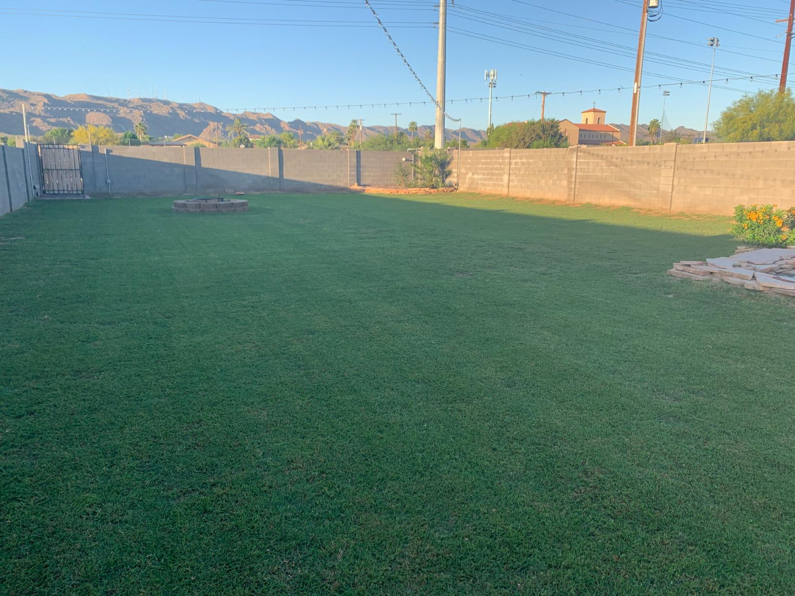 Customer review photo 1 — 2,4-D herbicide results