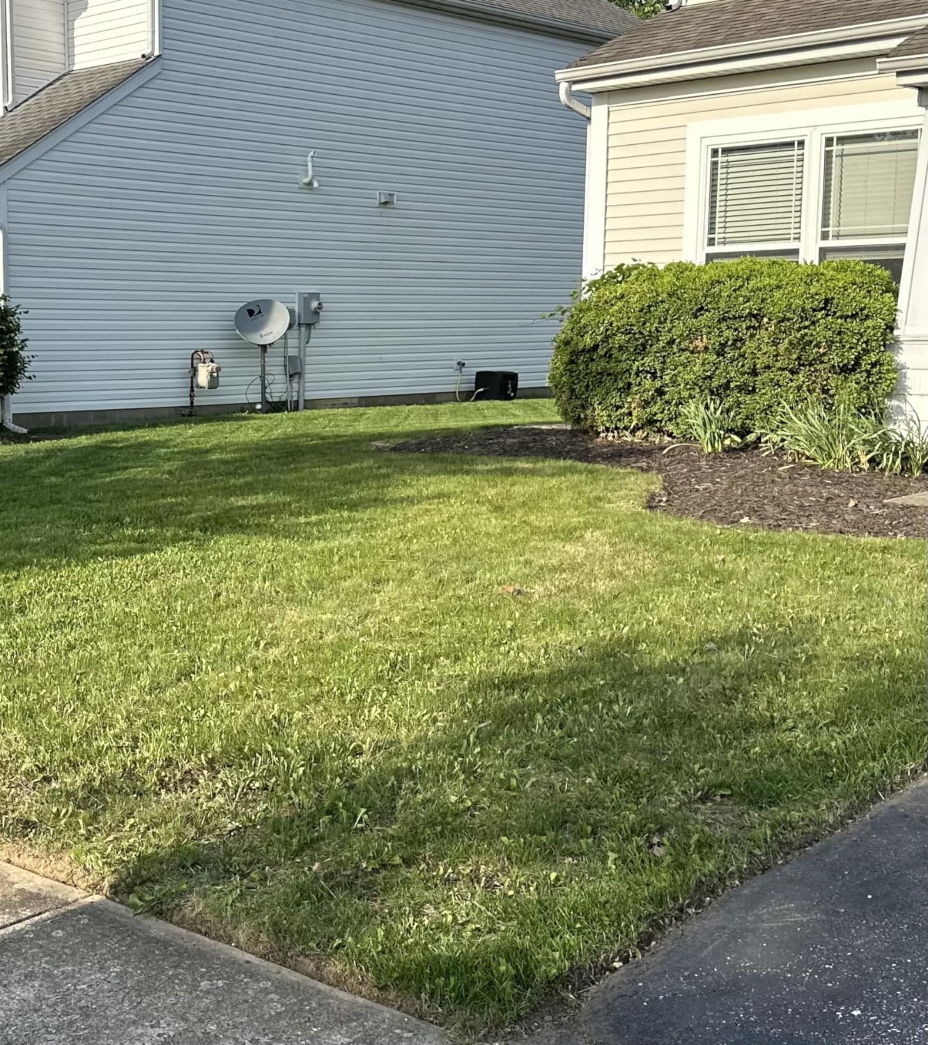 Customer review photo 2 — 2,4-D herbicide results