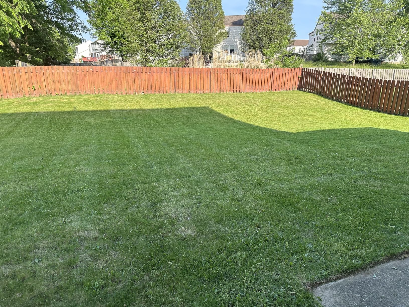 Customer review photo 3 — 2,4-D herbicide results
