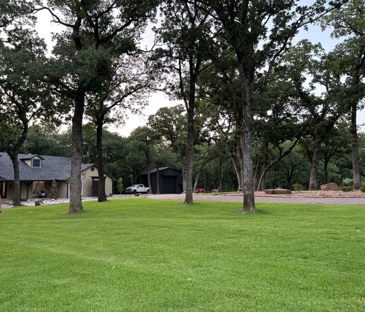 Customer review photo 4 — 2,4-D herbicide results