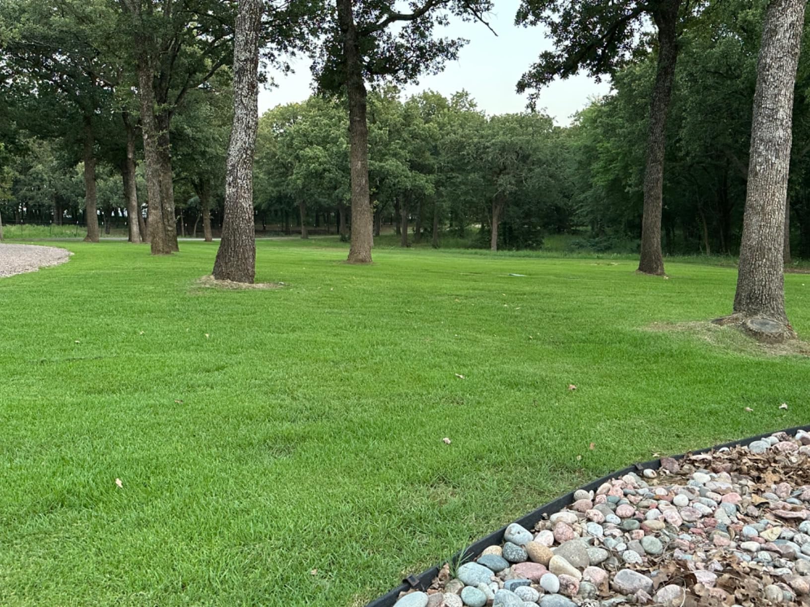 Customer review photo 5 — 2,4-D herbicide results